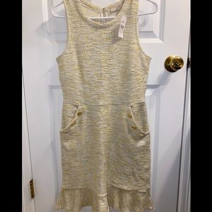 Ann Taylor Loft Shift Dress